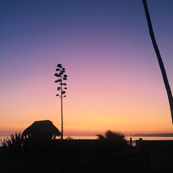 Meet your Posher, Lorena - Picture 1 of 1